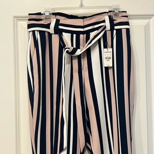 Express ankle / high rise pant